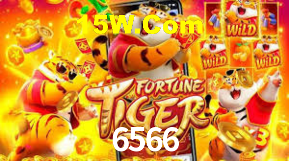Premium Interface 6566