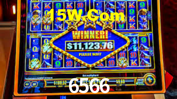 6566 App Interface