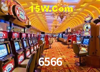 6566